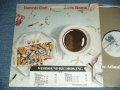 DENNIS COFFEY - BACK HOME  ( VG+++/Ex++ ) / 1977 US America Original "PROMO" Used  LP