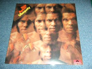 画像1: ROY AYERS UBIQUITY - ROY AYERS UBIQUITY  / US AMERICA REISSUE Brand New SEALED LP