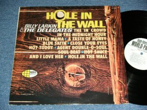 画像1: BILLY LARKIN & THE DELEGATES - HOLE IN THE WALL ( Ex++/MINT- )  / 1966 US AMERICA ORIGINAL "White Label PROMO"  MONO Used  LP