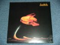 BATIDA (BRAZILIAN FUSION GROUP)  - BATIDA / 2001   HOLLAND REISSUE Made for JAPAN "BRAND NEW" LP 