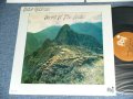 VICTOR FELDMAN  - SECRET OF THE ANDES ( MINT-/MINT- )   / 1982 US AMERICA ORIGINAL Used LP