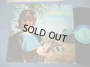 画像1: SKEETER DAVIS - BLUEBERRY HILL ( Ex/Ex-  Looks:: Ex+ )   / 1965 US ORIGINAL MONO Used  LP 