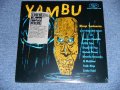 MONGO SANTAMARIA -  YAMBU ( SEALED)  / 1987 US AMERICA REISSUE " BRAND NEW SEALED"  LP  