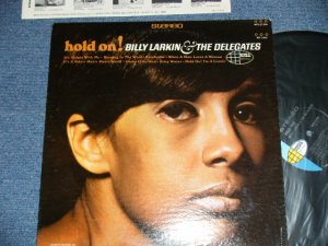画像1: BILLY LARKIN & THE DELEGATES - HOLD ON  ( Ex++/Ex++ EDSP )  / 1967 US AMERICA ORIGINAL STEREO Used LP 