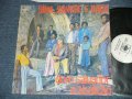 DOM SALVADOR E ABOLICAO - SOM, SANGUUE E  RACA   ( MINT-/MINT-) / BRAZIL Reissue  Used LP