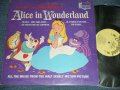 WALT DISNEY Productions  - ALICE IN WONDERLAND (Ex+/Ex Looks:Ex-)  / 1963 US AMERICA ORIGINAL Used LP 