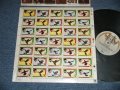 HUMMINGBIRD - HUMMINGBIRD (MINT-/MINT-)  / 1975 US AMERICA ORIGINAL  Used LP 
