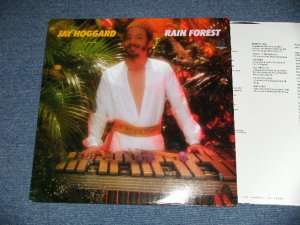 画像1:  JAY HOGGARD  - RAIN FOREST (NEW) ) / 1981 US AMERICA ORIGINAL "BRAND NEW" LP