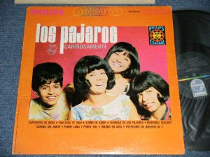 画像1: LES PAJAROS (LATIN POP CHORUS)  - CARINO SAMENTE  ( Ex+/Ex+++) / 19662  US AMERICA ORIGINAL STEREO Used  LP