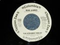 BOB JAMES - THE STEEMIN' FEELIN' (PROMO SAME FLIP) (Matrix #   A) ZSS 169906-1C    B) ZSS 169906-1D) (Ex++/Ex++)/ 1981 US AMERICA ORIGINAL "WHITE LABEL PROMO" Used 7" 45rpm Single 