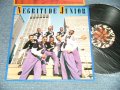 NEGRITUDE JUNIOR - NEGRITUDE JUNIOR (NEW) / 1993 BRAZIL ORIGINAL "BRAND NEW" LP 