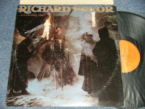 画像1: RICHARD PRYOR - IS IT SOMETHING I SAID? (Ex+/MINT-) / 1975 US AMERICA ORIGINAL Used LP 