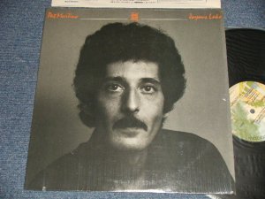 画像1: PAT MARTINO - JOYOUS LAKE (MINT-/MINT- CUT OUT) / 1976 US AMERICA ORIGINAL Used LP