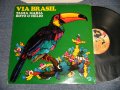 TANIA MARIA - VIA BRASIL VOL.2 (Ex+++/Ex+++ Looks:MINT) / 1995 FRANCE ORIGINAL Used LP