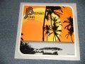 JOHN BELTRAN - SUN GYPSY (Sealed) / 2002 US AMERICA ORIGINAL "BRAND NEW SEALED" LP