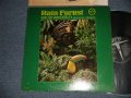 WALTER WANDERLEY - RAIN FOREST(Ex++/MINT- BB) / 1966 US AMERICA ORIGINAL MONO Used LP