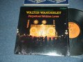 WALTER WANDERLEY - PERPETUAL MOTION LOVE (MINT-/MINT-)  / 1981 US AMERICA ORIGINAL Used LP