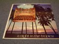 101 STRINGS - A NIGHT IN THE TROPICS /1958? US ORIGINAL SEALED LP 