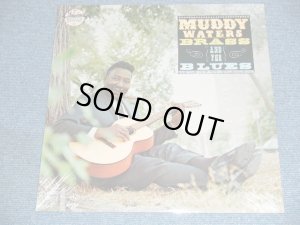 画像1: MUDDY WATERS  - BRASS AND THE BLUES /  US Reissue Sealed  LP
