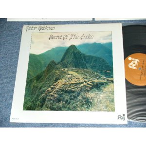 画像: VICTOR FELDMAN  - SECRET OF THE ANDES ( MINT-/MINT- )   / 1982 US AMERICA ORIGINAL Used LP