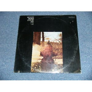 画像: WOODY HERMAN - LIGHT MY FIRE  (SEALED) / 1969 US AMERICA ORIGINAL "BRAND NEW SEALED"  LP 