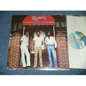 画像: CRUSADERS - STANDING TALL ( MINT/MINT- ) / 1981 US AMERICA ORIGINAL Used LP