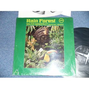 画像: WALTER WANDERLEY - RAIN FOREST( MINT-/MINT- BB )  / 1966 US AMERICA ORIGINAL MONO Used LP