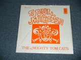 画像: MIGHTY TOM CATS - SOUL MAKOSSA  ( SEALED) / REISSUE "BRAND NEW SEALED" LP 