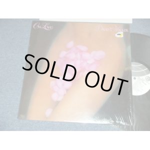 画像: D AVID T. WALKER - ON LOVE ( MINT-/MINT-)  / 1976 US AMERICA ORIGINAL  Used LP  
