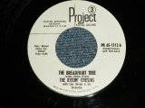 画像: The KISSIN' COUSINS with Lew Davies And His Orchestra - A) THE BREADFRUIT TREE  B) LISTEN TO YOUR HEART (MINT-/MINT- WOL)/ 1967 US AMERICA ORIGINAL "WHITE LABEL PROMO" Used 7" 45rpm Single 