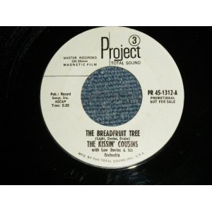 画像: The KISSIN' COUSINS with Lew Davies And His Orchestra - A) THE BREADFRUIT TREE  B) LISTEN TO YOUR HEART (MINT-/MINT- WOL)/ 1967 US AMERICA ORIGINAL "WHITE LABEL PROMO" Used 7" 45rpm Single 