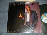 画像: WILTON FELDER - GENTLEFIRE (MINT/MINT-) / 1983 US AMERICA ORIGINAL Used LP