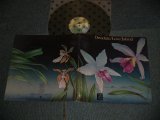 画像: DEODATO - LOVE ISLAND (Ex-/Ex+++ WTRDMG) / 1978 US AMERICA ORIGINAL Used LP 