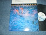 画像: FREDDIE HUBBARD - SPLASH(Ex+++/MINT-) / 1981 US AMERICA ORIGINAL Used LP  