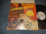 画像: CHARANGA AMERICA - CHARANGA AMERICA  (Ex++/MINT- EDSP)/ 1981 US AMERICA ORIGINAL Used LP 
