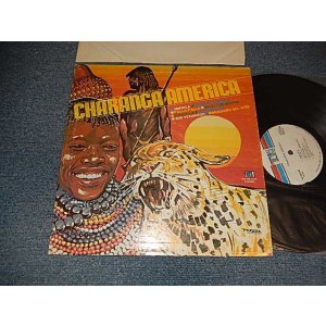 画像: CHARANGA AMERICA - CHARANGA AMERICA  (Ex++/MINT- EDSP)/ 1981 US AMERICA ORIGINAL Used LP 