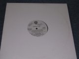 画像: GEORGE DUKE - LIFE AND TIMES / 1995 US PROMO ONLY 12" Single 