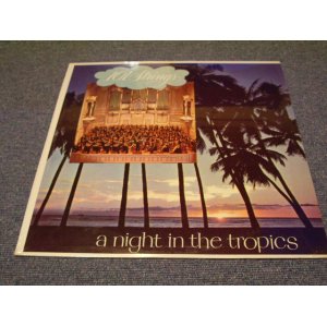 画像: 101 STRINGS - A NIGHT IN THE TROPICS /1958? US ORIGINAL SEALED LP 