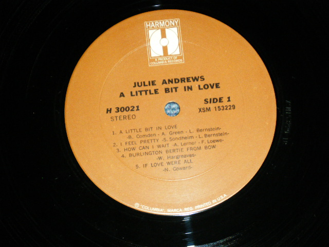 画像: JULIE ANDREWS - A LITTLE BIT IN LOVE( Ex+/Ex+++)  / 1960's US AMERICA ORIGINAL Used LP 