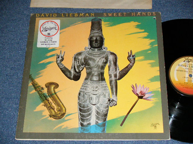 画像1: DACID LIEBMAN  - SWEET HANDS  ( Ex++/Ex+++)  / 1975 US AMERICA ORIGINAL Used LP 