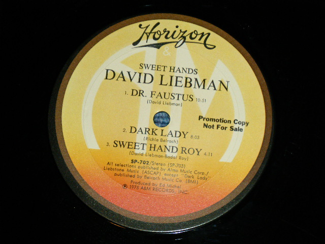 画像: DACID LIEBMAN  - SWEET HANDS  ( Ex++/Ex+++)  / 1975 US AMERICA ORIGINAL Used LP 