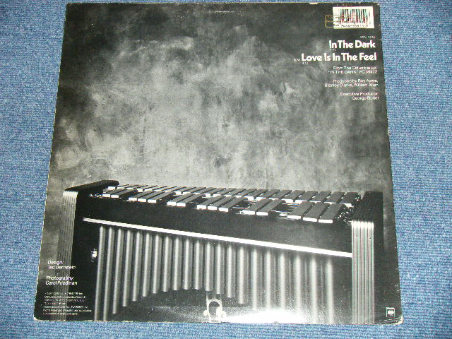 画像: ROY AYERS UBIQUITY - IN THE DARK  / 1984 US AMERICA ORIGINAL Used 12" 