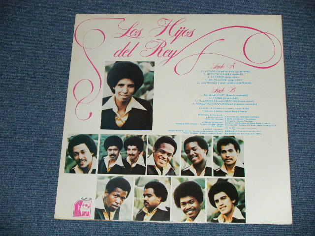 画像: LOS HIJOS DEL REY ( MEXICAN POP ) - FERNANDITO & RAULIN  ( MINT-/MINT-)  / 1978 US AMERICA ORIGINAL Used LP 