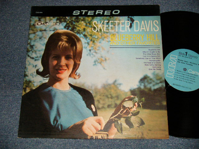 画像1: SKEETER DAVIS - BLUEBERRY HILL (Ex++/Ex++ Looks:Ex+) / 1965 US AMERICA ORIGINAL STEREO Used LP 