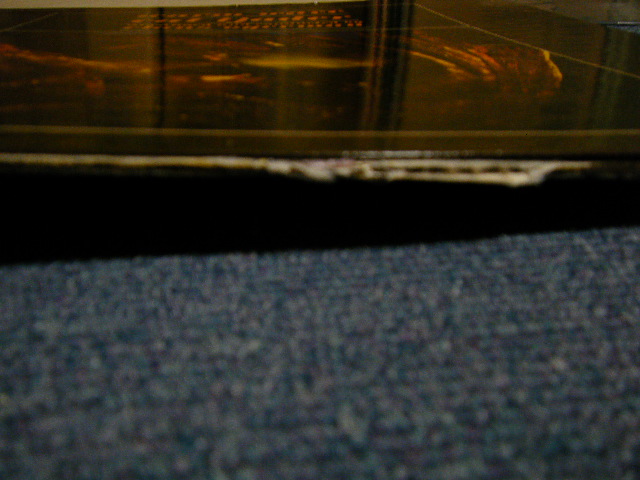 画像8: CAL TJADER - WARM WAVE (Ex++/Ex+++ EDSP) / 1964 US AMERICA ORIGINAL STEREO Used LP  